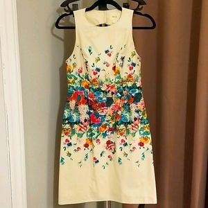Anthropologie Shift Dress Cutout Back